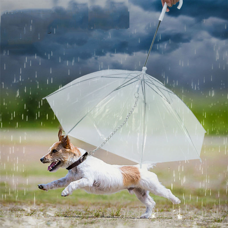 Paraguau™ – Correa que protege de la lluvia